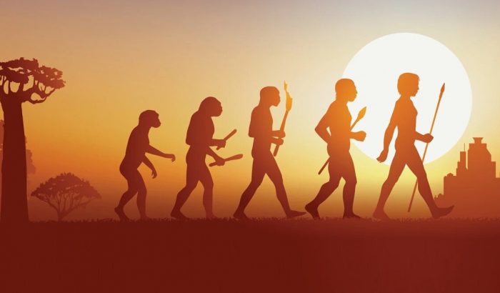 The evolution of male grooming