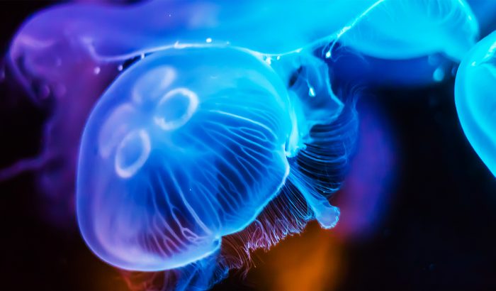 A Q&A on Depth with our Executive Director, Creative Strategy, Dan Monteith