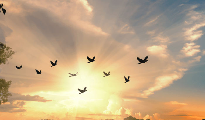 The freedom in constraint  (and why less really can mean more)