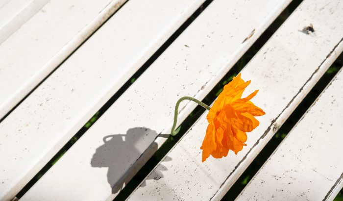 Rethinking the design process: adding an extra why